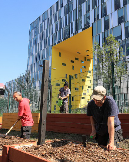 agriculture urbaine
