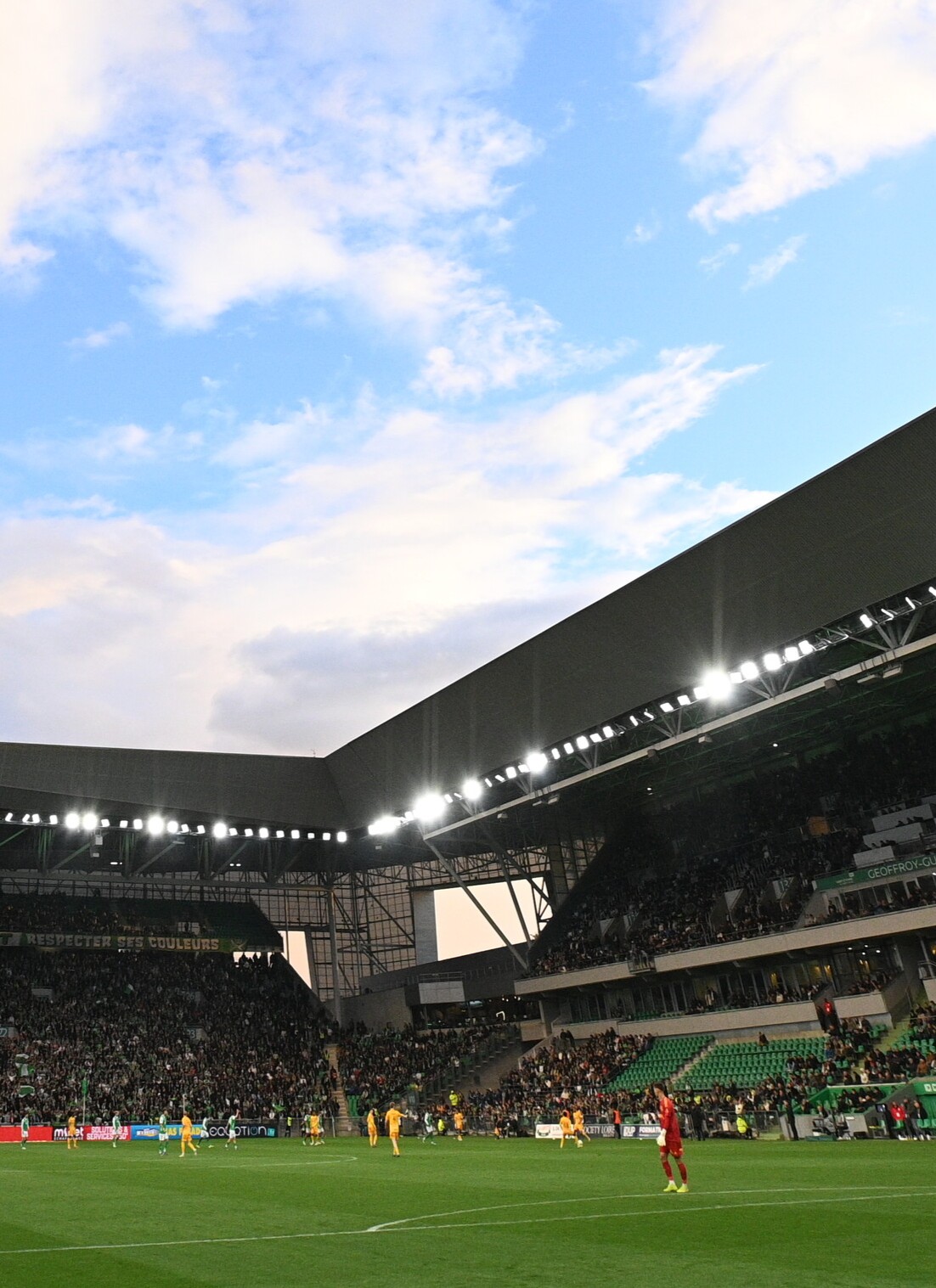 pelouse-geoffroy-guichard